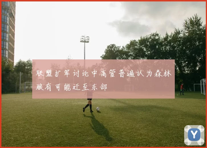 联盟扩军讨论中高管普遍认为森林狼有可能迁至东部